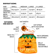 Halloween Pumpkin Dog Costume