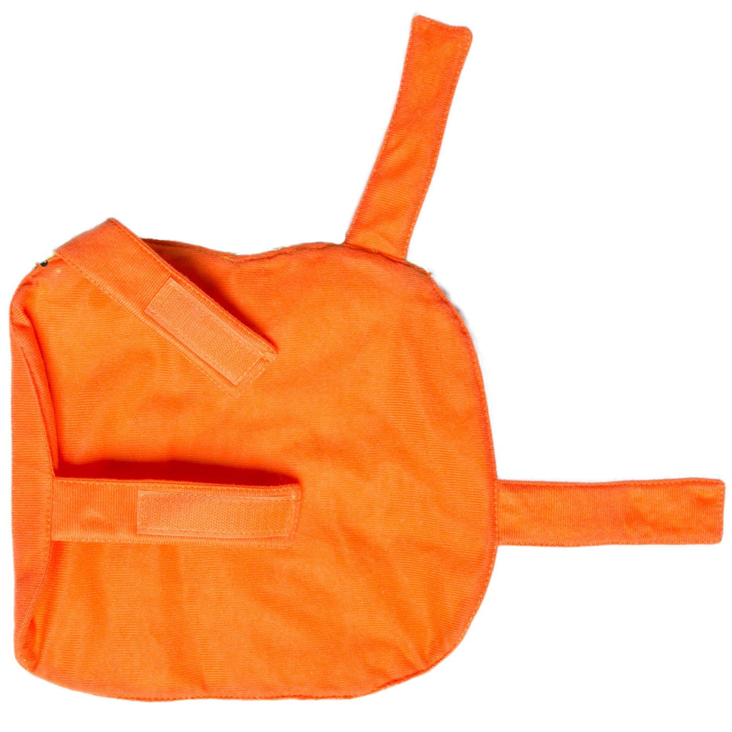 Halloween Pumpkin Cat Costume