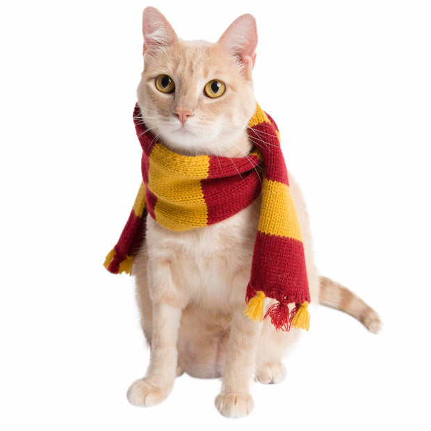 Harry Potter inspired gold and red wizard scarf costume for cat