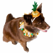 pineapple dog costume