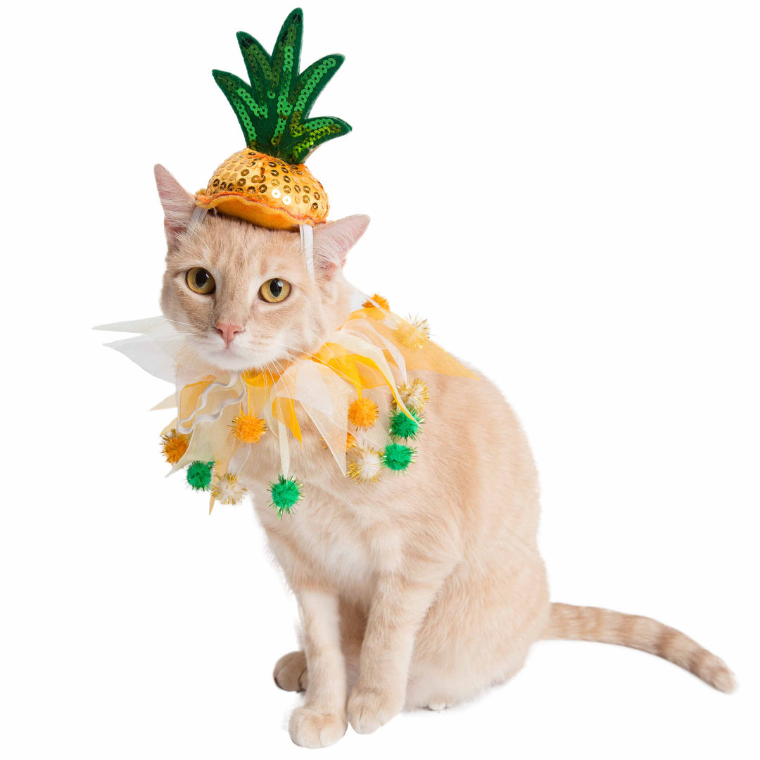 Pineapple Hat and Collar Cat Costume Pet Krewe