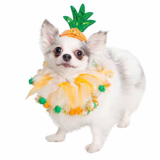 dog costumes for small dogs pineapple
