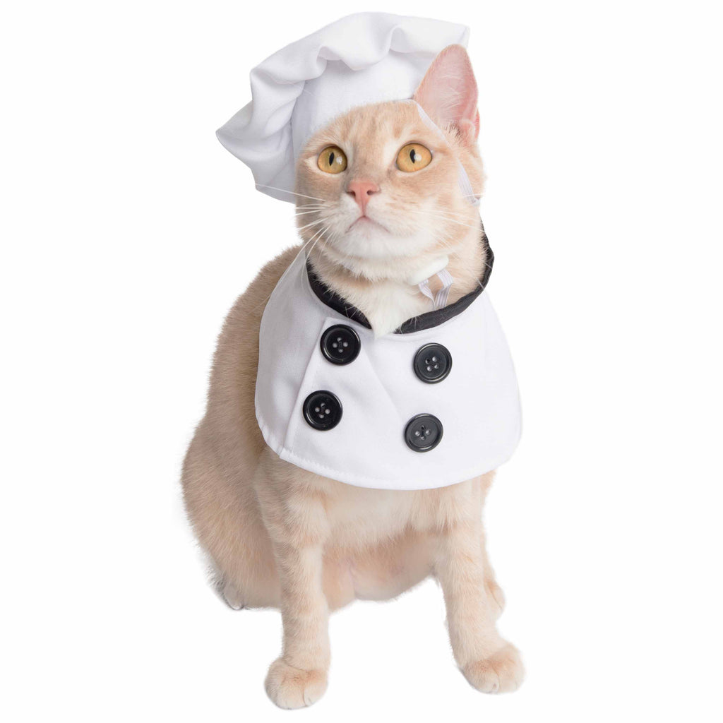 Chef Hat For Cats Top Chef Uniform Cat Costume – Pet Krewe