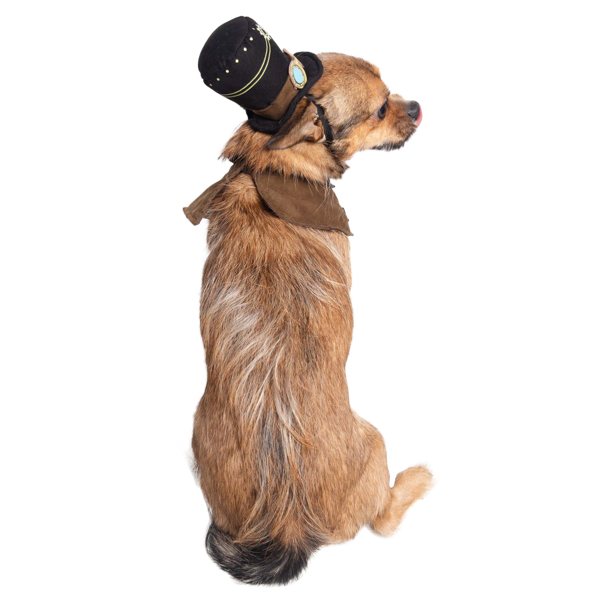  Steam Punk Hat and Collar Dog Costume 