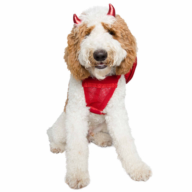 devil dog costume