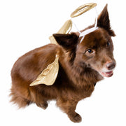 angel dog costume