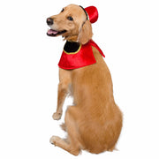 Nutcracker Soldier Dog Costume