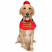 Nutcracker Soldier Dog Costume