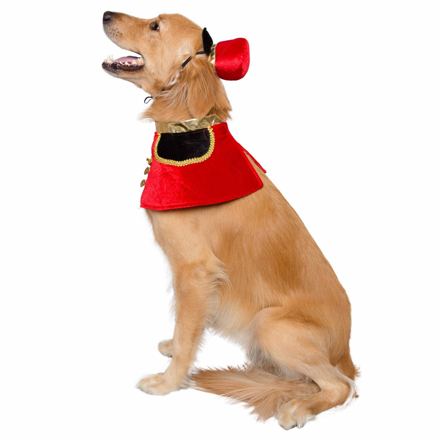 Nutcracker Soldier Dog Costume