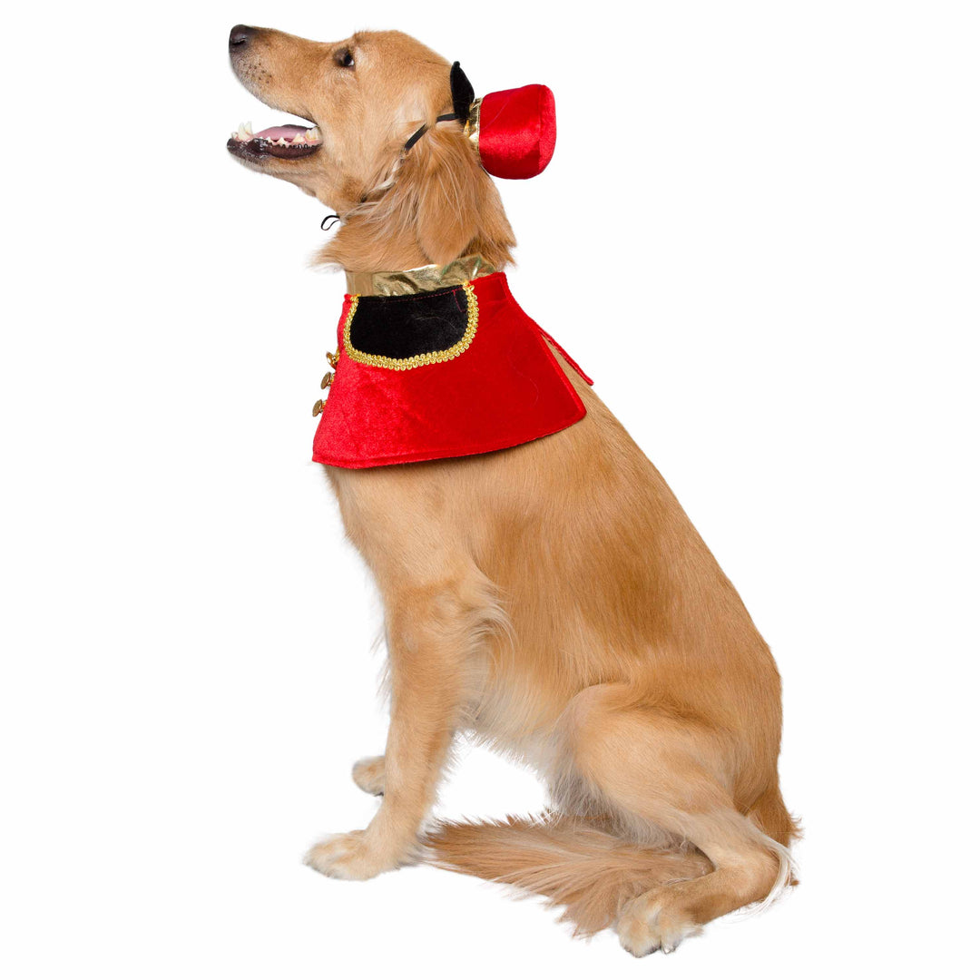 Nutcracker dog costume sales