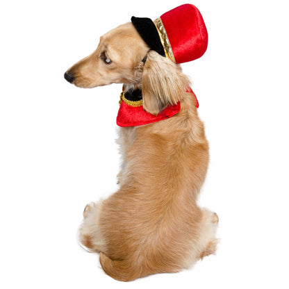 Nutcracker Soldier Dog Costume