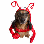 lobster dog costumes