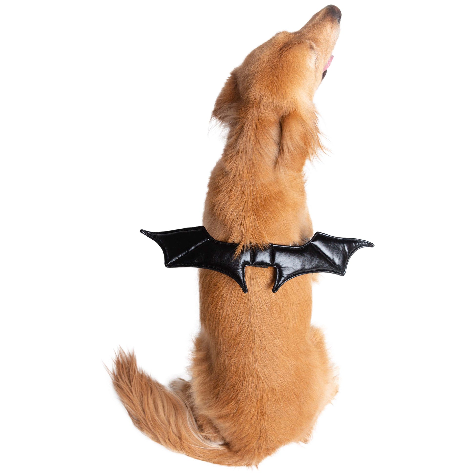 Bat Harness Attachment Costume for Dogs