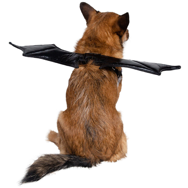 Bat Harness Attachment Costume for Dogs