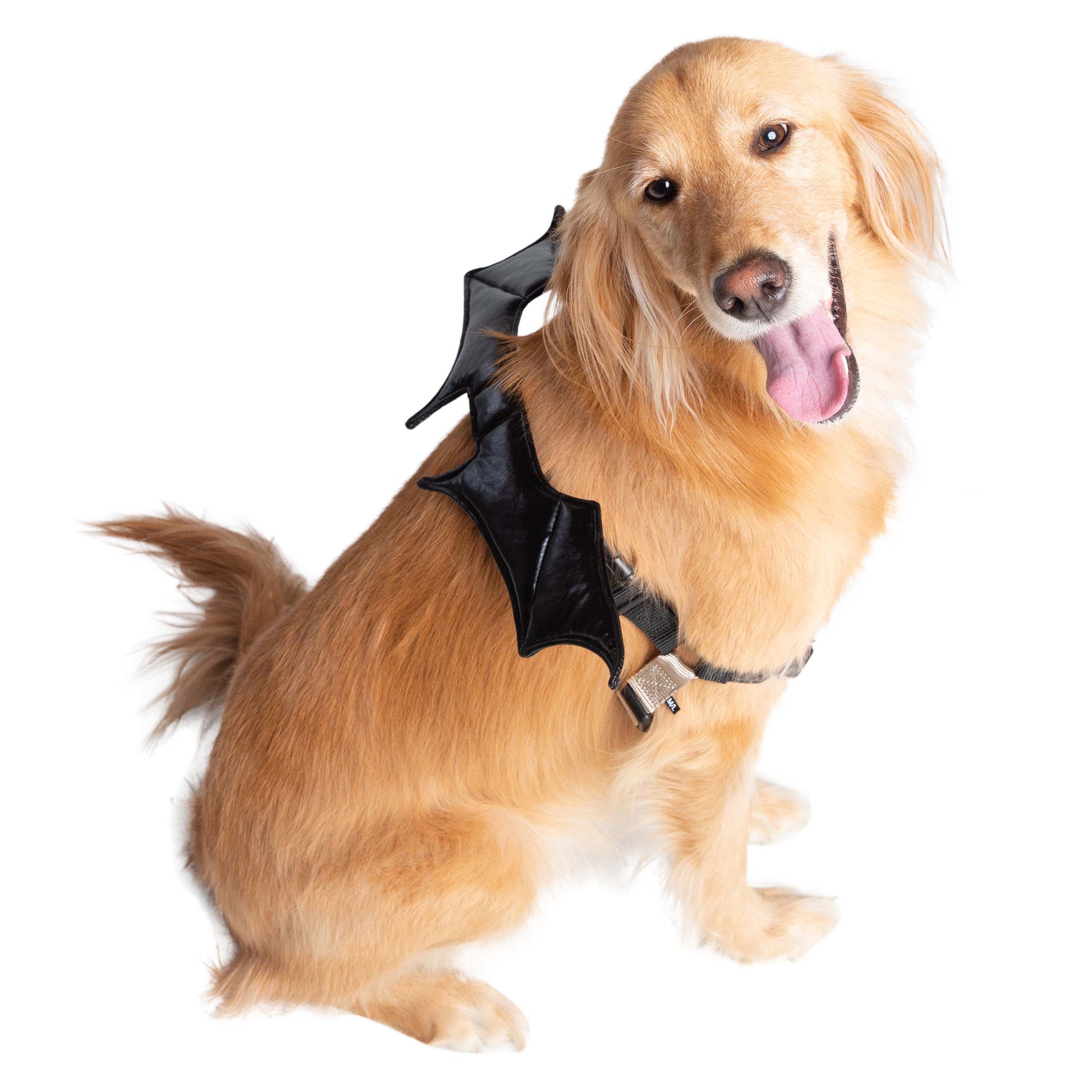 Bat Harness Attachment Costume for Dogs