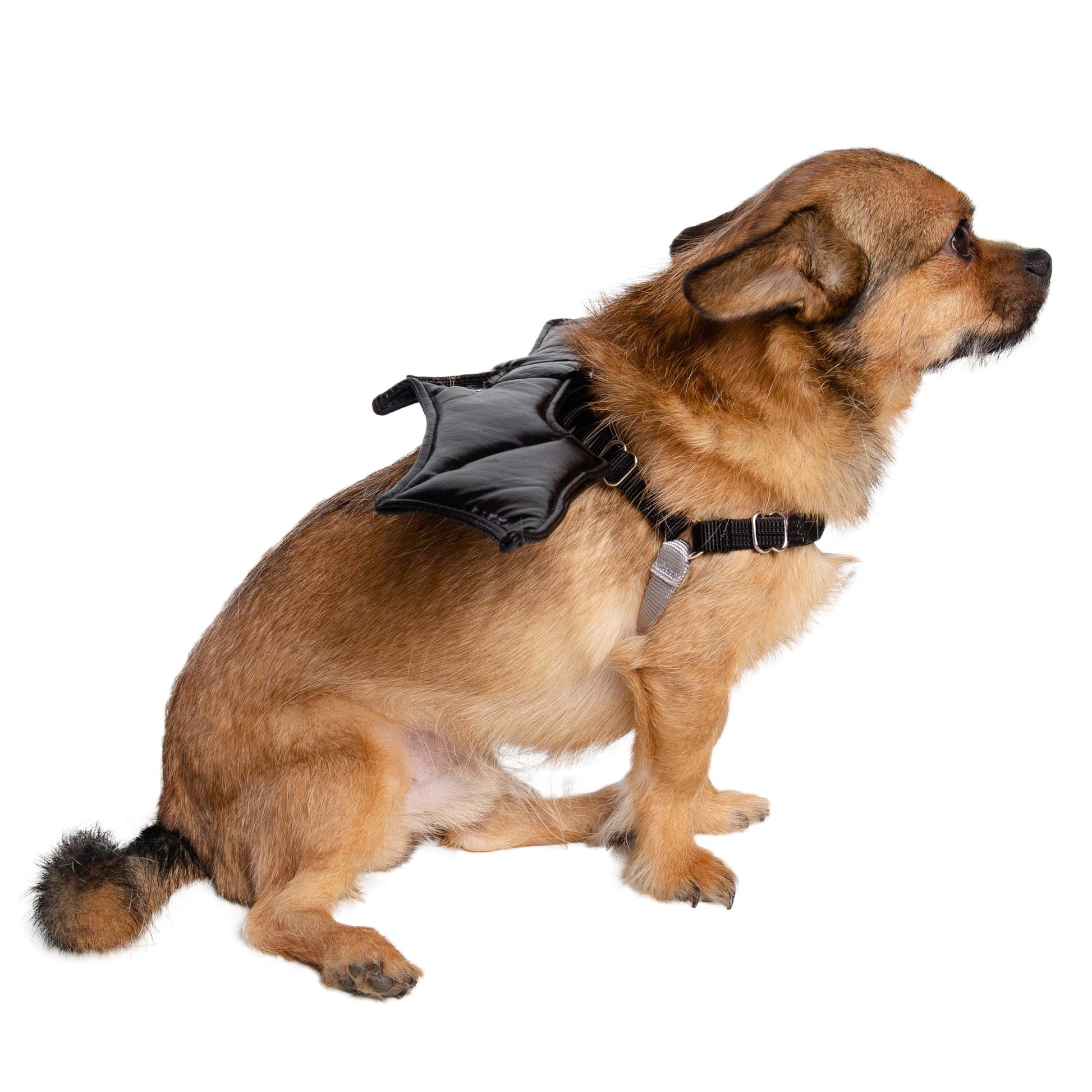 Bat Harness Attachment Costume for Dogs