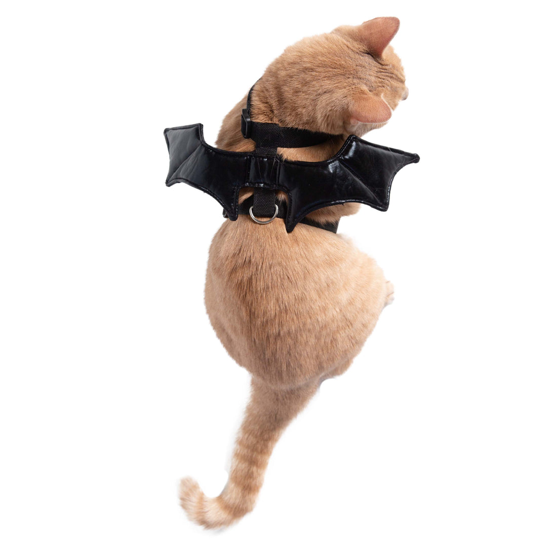 Bat Harness Costume for Cats Pet Krewe