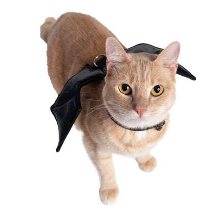 Bat Harness Costume for Cats