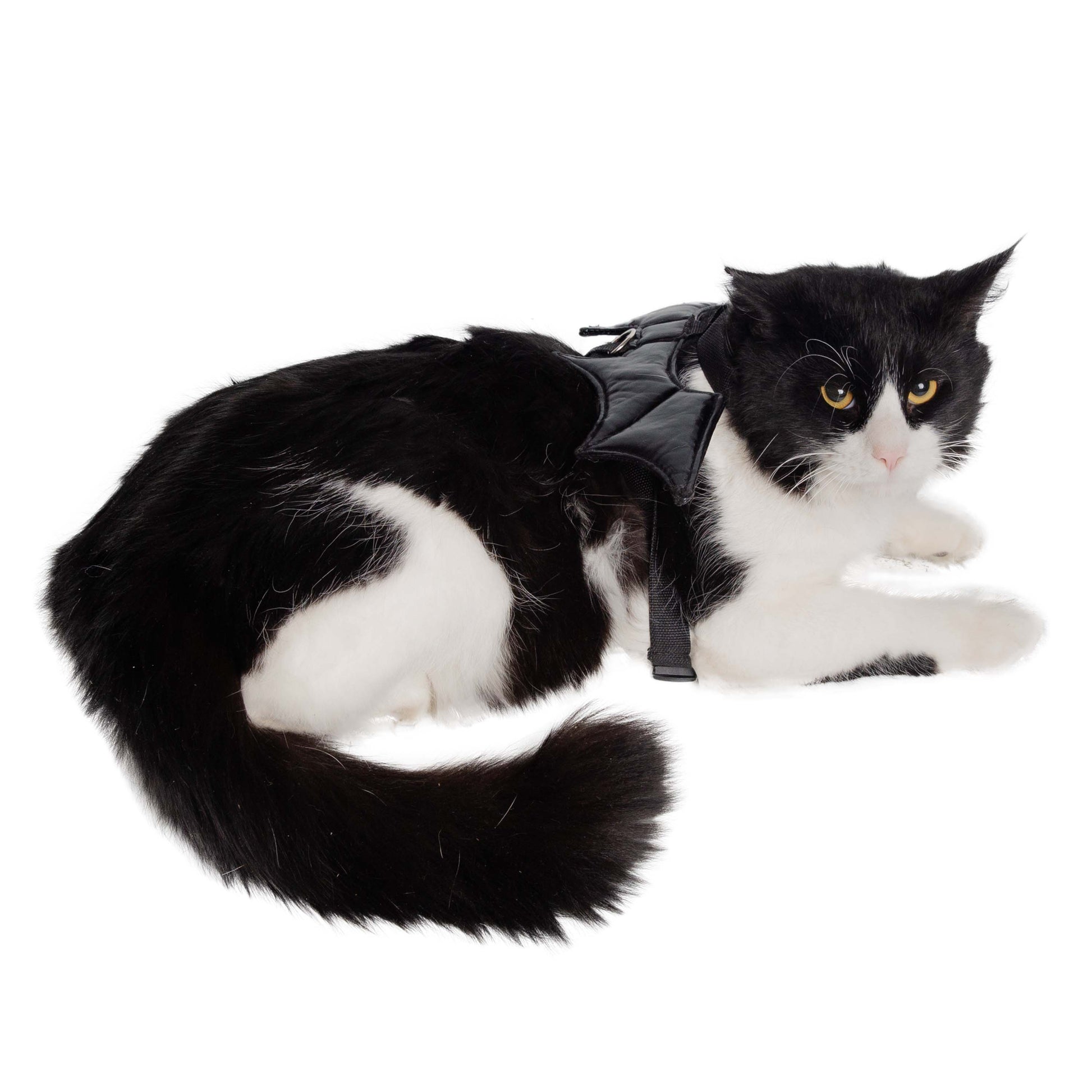 Bat Harness Costume for Cats