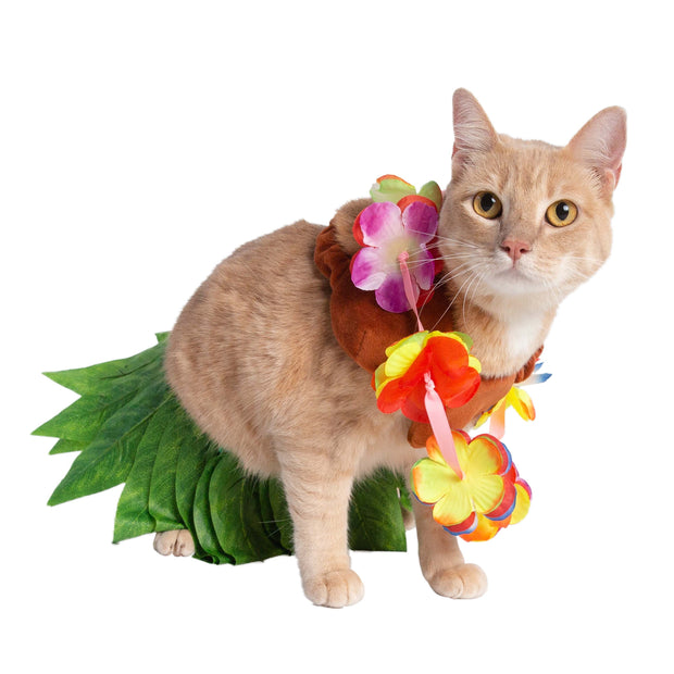 Hula Girl Costume for Cats
