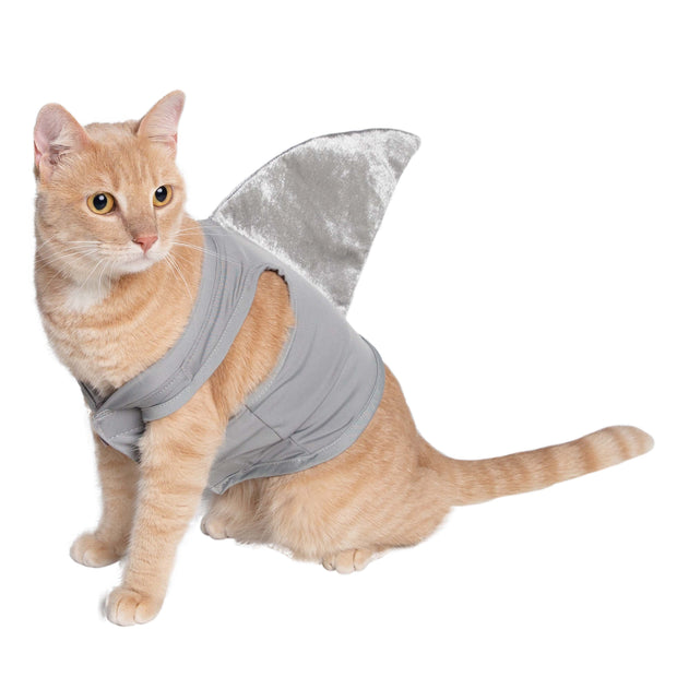 Shark Cat Costume – Pet Krewe