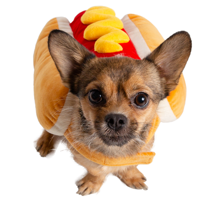 dog hotdog costume