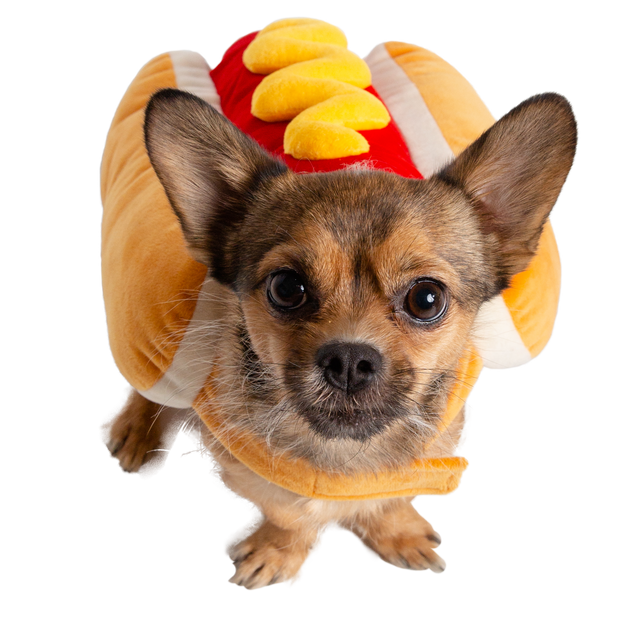 dog hotdog costume