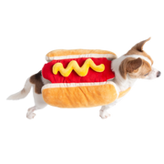 hot dog costume for dogs