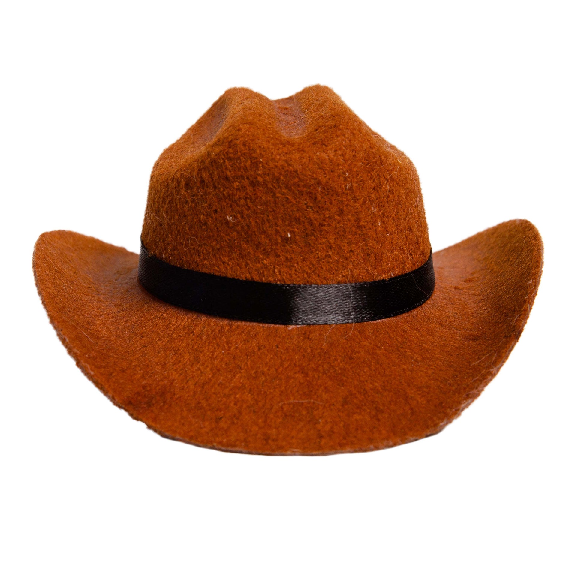 cowboy cat costume