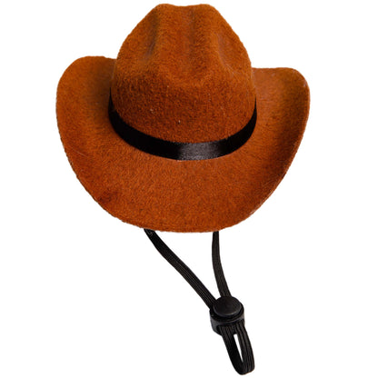 cowboy pet costume