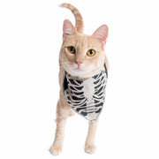 glow-in-the-dark skeleton cat bandana