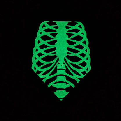 glow-in-the-dark skeleton cat bandana