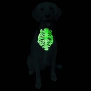 Glow-In-The-Dark Skeleton Dog Bandana