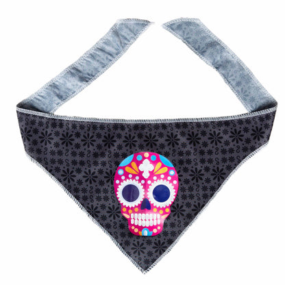 glow in the dark skull dog bandana