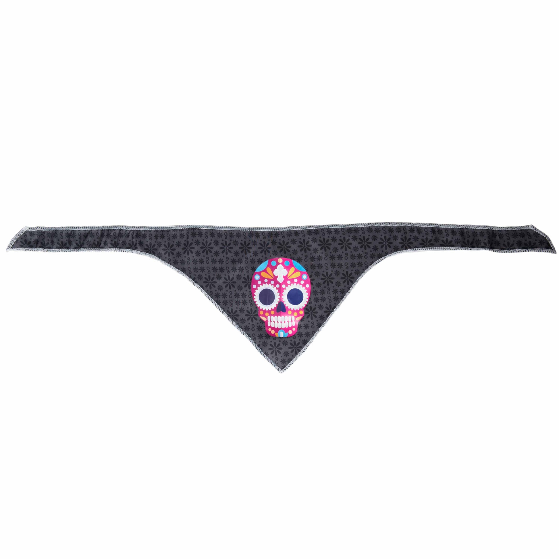 glow in the dark skull dog bandana