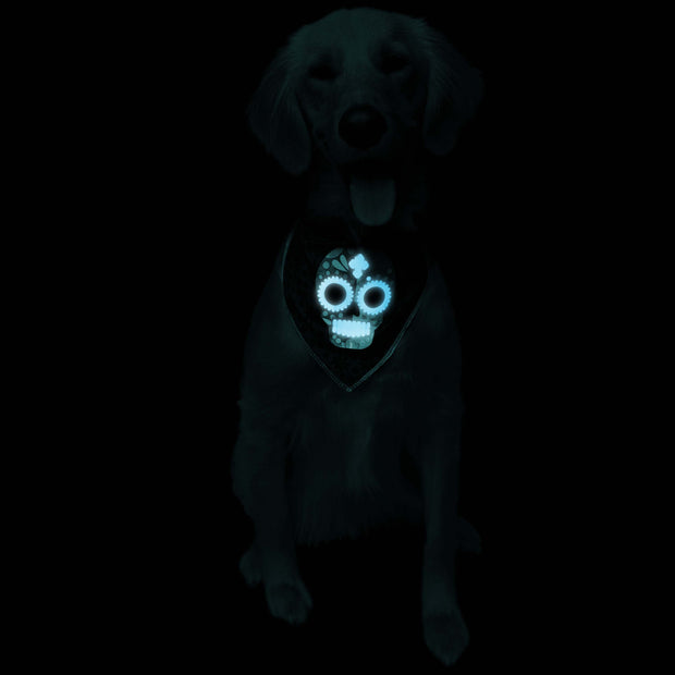 glow in the dark skull dog bandana