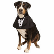 dog tuxedo for large dogs