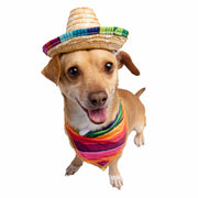 Mexican serape and sombrero dog costume small dog costume for cinco de mayo