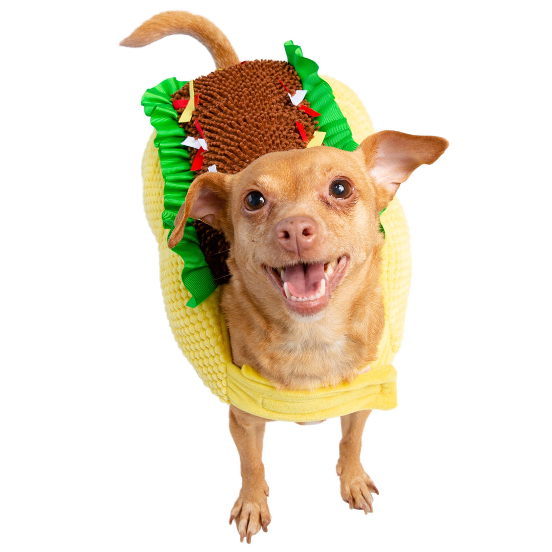 Dog dressed as taco new arrivals