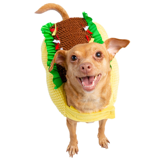 dogs taco costume