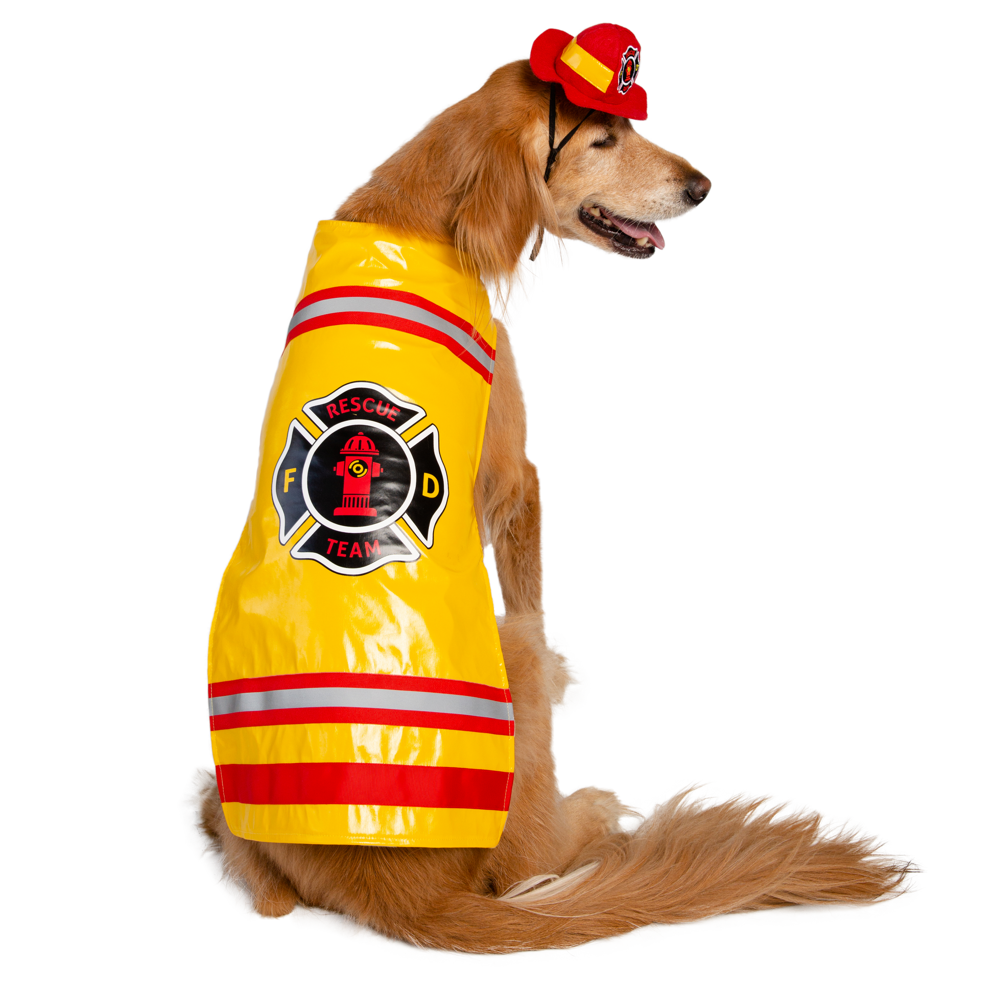 dog firefighter hat