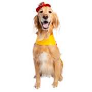 firefighter costume for dogs