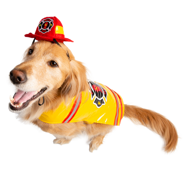 fireman hat for dogs