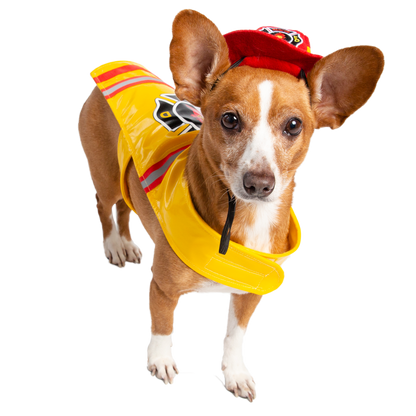 firefighter dog jacket