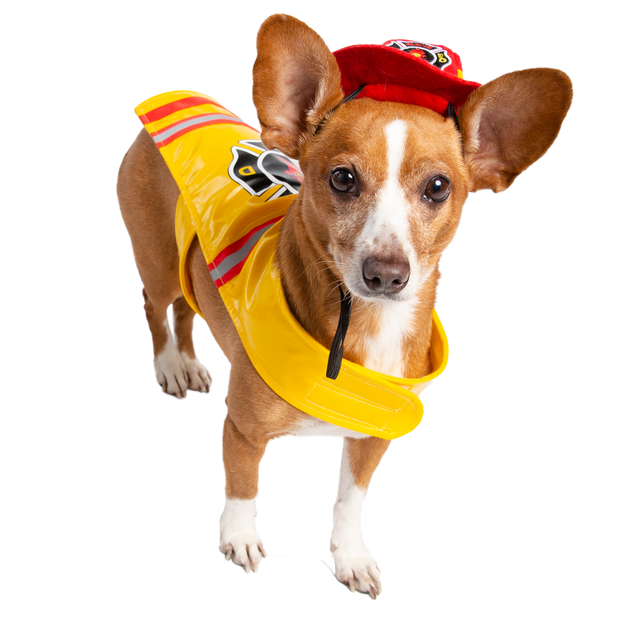 Fireman costume for dogs online