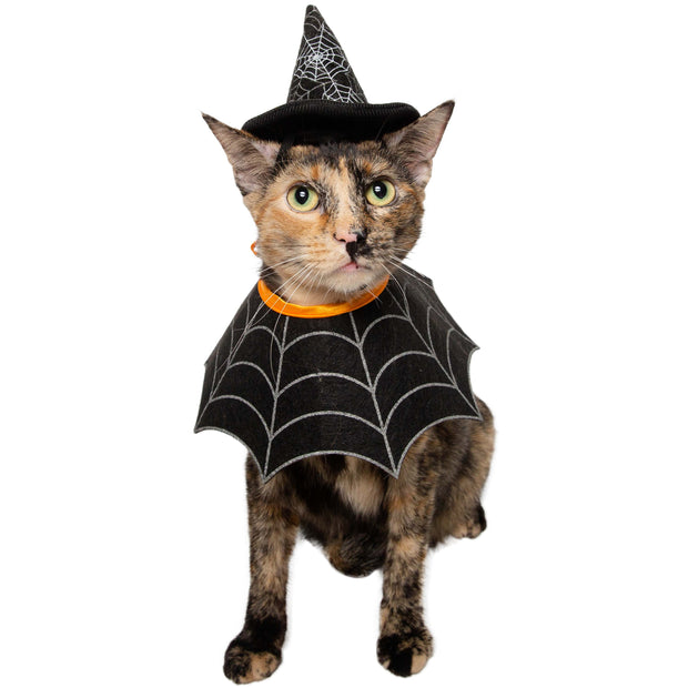 cat witch costume