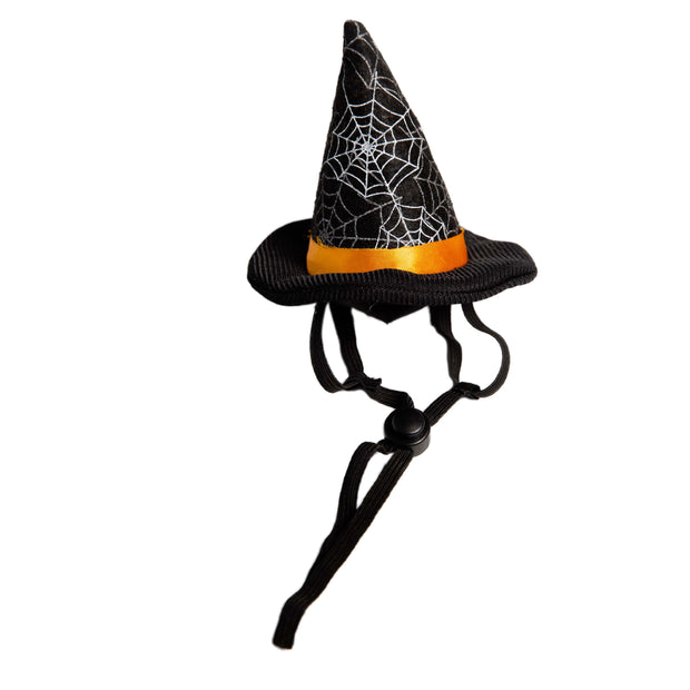 witch costume ofr cat