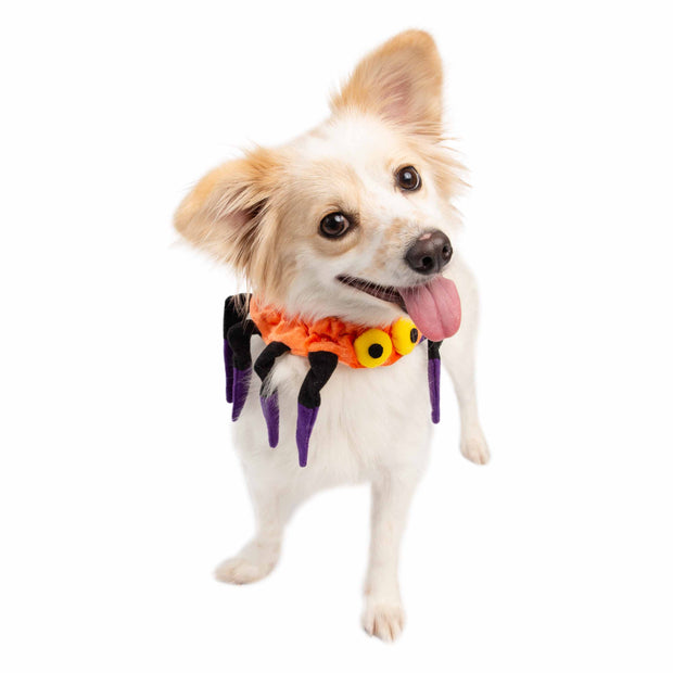 Spider Collar Dog Costume