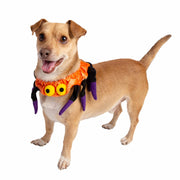 Spider Collar Dog Costume