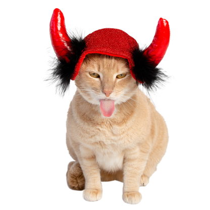 devil cat costume
